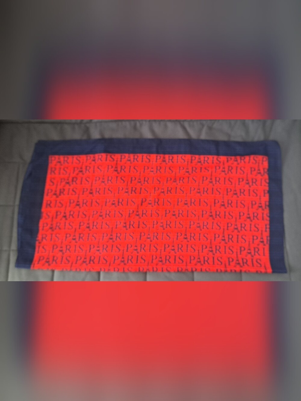 Red 'PARIS' Accent Scarf with Navy Border